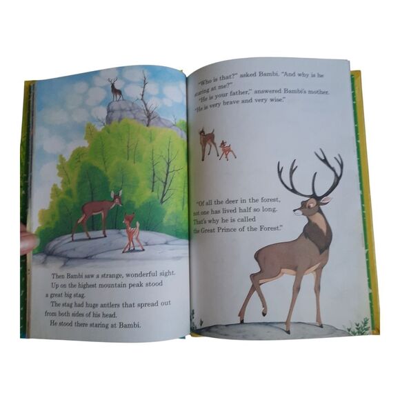 Disney Bambi Grows Up Book - Vibrant Green and Earthy Brown - Picture 3 of 3